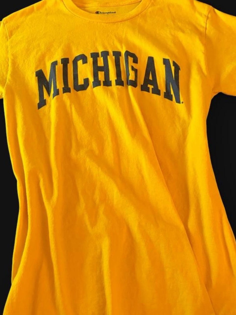 Michigan state t shirt